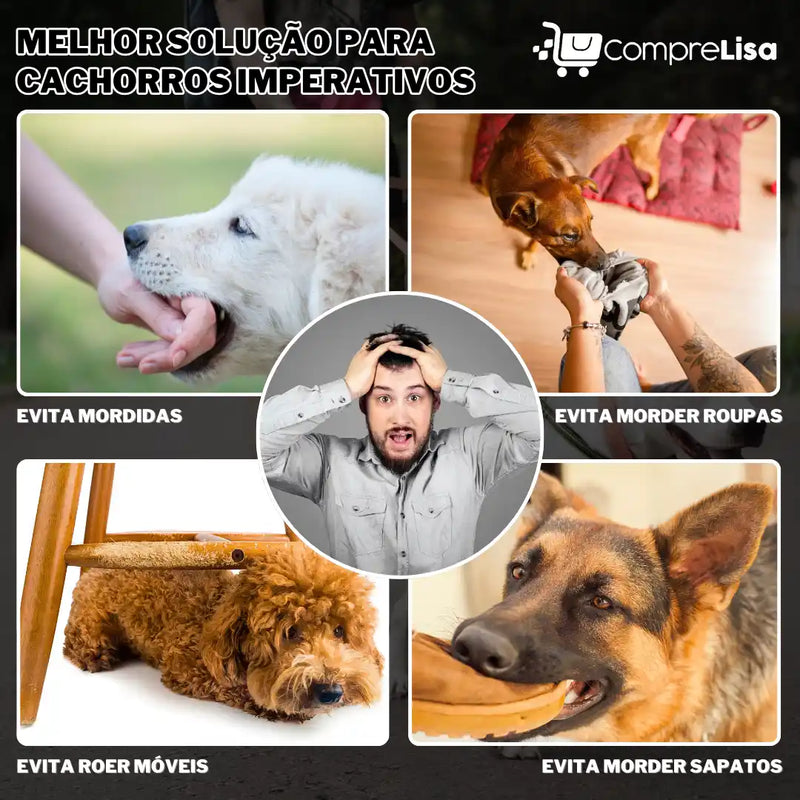 Bolinha Petisco Pet Anti-Stress - Lisa®️